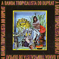 A banda tropicalista do Duprat, Rogerio Duprat