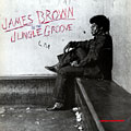 In The Jungle Groove, James Brown