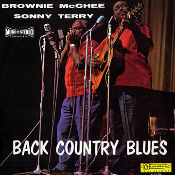 Back country blues,Brownie Mcghee , Sonny Terry