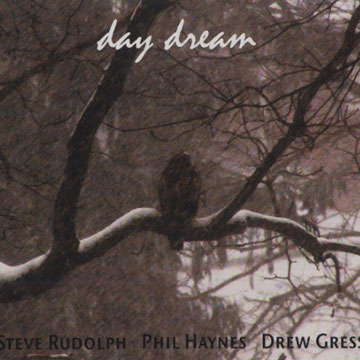 Day dream,Drew Gress , Phil Haynes , Steve Rudolph
