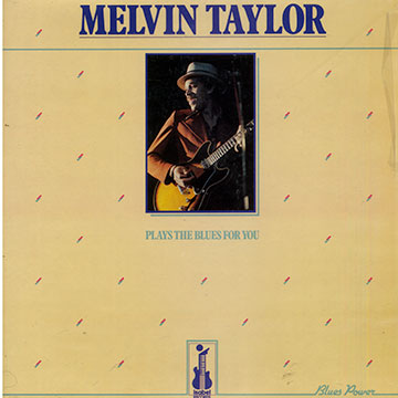 Plays the blues for you,Melvin Taylor