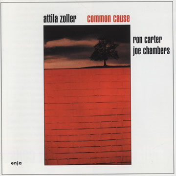Common cause,Attila Zoller