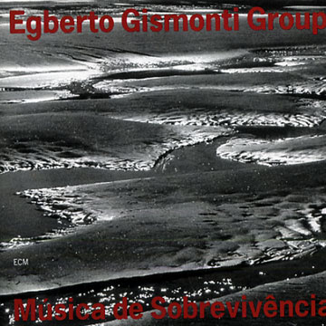 Musica de Sobrevivncia,Egberto Gismonti