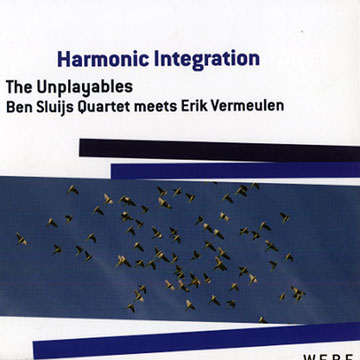harmonic integration,Ben Sluijs