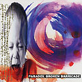 Broken barricade,  Paradox