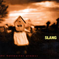 The Bellwether project,  Slang