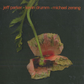 Out Trio volume two,Kevin Drumm , Jeff Parker , Michael Zerang