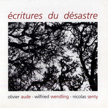 Ecritures du dsastre,Olivier Aude , Nicolas Senty , Wilfried Wendling