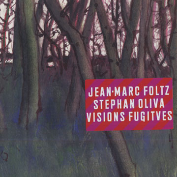 Visions fugitives,Jean-marc Foltz , Stephan Oliva