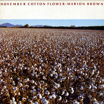 November cotton flower,Marion Brown