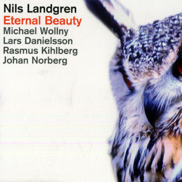 Eternal beauty,Nils Landgren