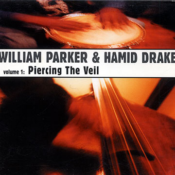 Piercing the veil Volume 1,Hamid Hank Drake , William Parker
