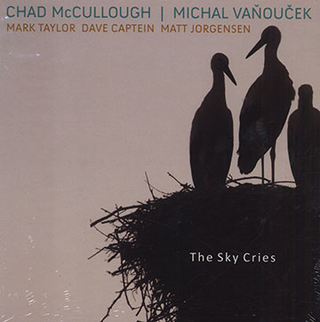The sky cries,Chad Mc Cullough , Michal Vanoucek
