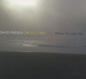 Where the light falls,David Friesen