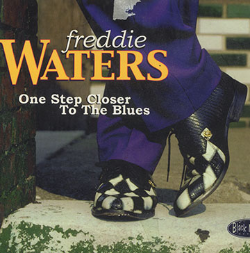 One step closer to the blues,Freddie Waters
