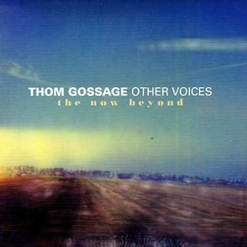 the now beyond - Other voices,Thom Gossage