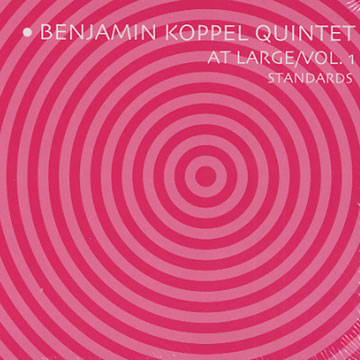 At Large / vol.1 standards,Benjamin Koppel