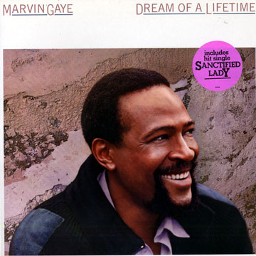 Dream Of A Lifetime,Marvin Gaye