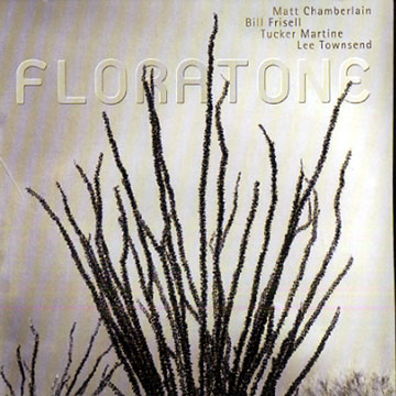 Floratone,Matt Chamberlain , Bill Frisell