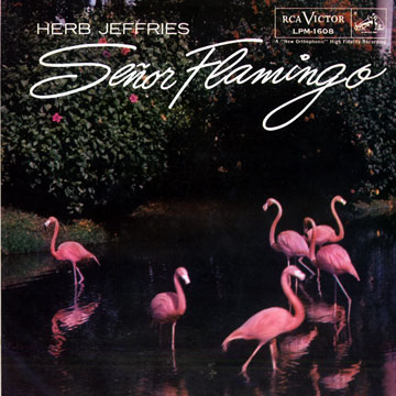 Senor Flamingo,Herb Jeffries