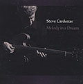 Melody in a dream, Steve Cardenas