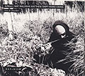 Jungle / Live at Okuden, Hamid Drake , Matthew Shipp , Mat Walerian