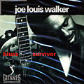 blues survivor, Joe Louis Walker