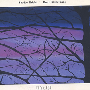 Shadow bright,Bruce Stark
