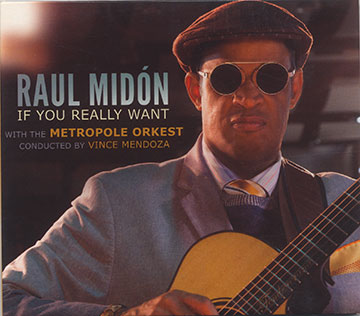 If you Really Want,Raul Midon