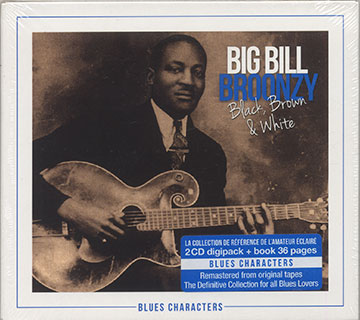 Black, Brown & White,Big Bill Broonzy