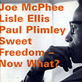 Sweet Freedom - Now What?, Joe McPhee