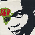 Red hot+ Riot   - the music and spirit of Fela,  Various Artists