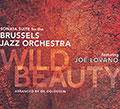 Wild beauty,  Brussels Jazz Orchestra
