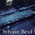 Sylvain Beuf Trio, Sylvain Beuf