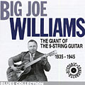 the giant of the 9-string Guitar, Big Joe Williams