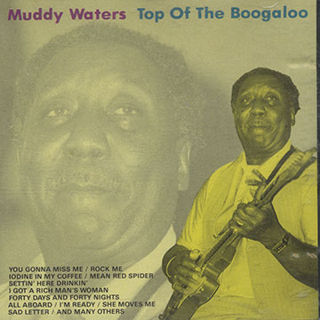 Top of the boogaloo,Muddy Waters