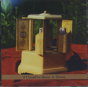 I Could've Been A Drum,Anthony Coleman , Roy Nathanson