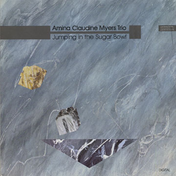 Jumping in the Sugar Bowl,Amina Claudine Myers