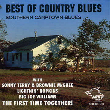 Best of Country Blues - Southern Camptown Blues,  Various Artists