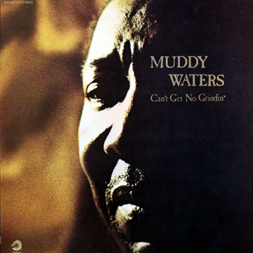 Can't Get No Grindin',Muddy Waters