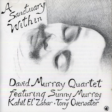 A Sanctuary within,David Murray